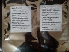 Семена арбуза сорт огонь урожай 70т 80т с 1г очень крупные плоды