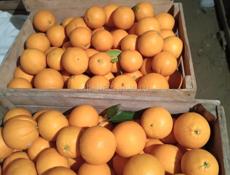 Апельсины 