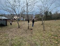 Гудаута,Центр 