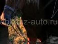 Пропал лошадь 