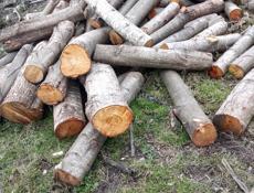 Дрова 
