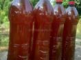 Продаю горный мёд 