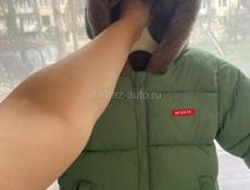 Новая не дорога