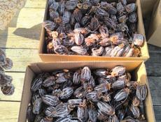 Продаю сушёную Хурму 🔥