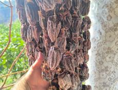 Продаю сушёную Хурму 🔥