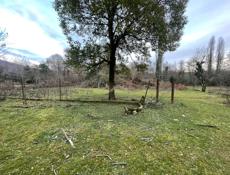 Чанба, рядом с Мясной двор