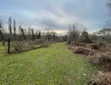 Чанба, рядом с Мясной двор