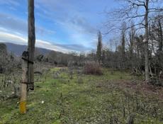 Чанба, рядом с Мясной двор