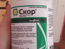 Скор . Аполло.  Ниссоран 