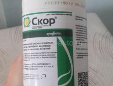 Скор . Аполло.  Ниссоран 