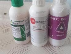 Скор . Аполло.  Ниссоран 