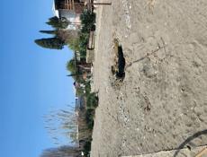 В Цандрипше сдаётся на летний сезон,  прибрежный участок 