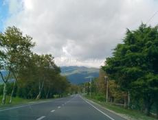 Сдам квартиру под ключ 