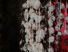 Хурма сушёная 