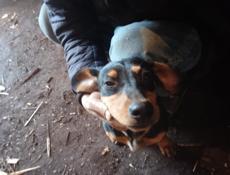 Сварочные работы любой сложносьи