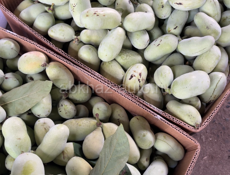 Азимин один корень 500 руб