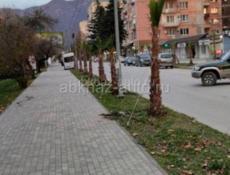 Сниму квартиру или дом в Гагре 