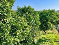 ДОМ С ВИДОМ НА МОРЕ И ГОРЫ В АГУДЗЕРЕ 