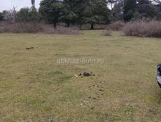 Участок 10 соток