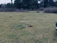 УЧАСТОК 10 СОТОК 