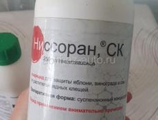 Скор Аполло Ниссоран 