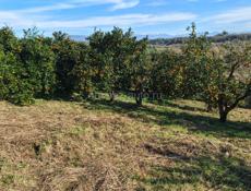 Срочно‼️‼️‼️