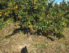 Продам срочно‼️‼️‼️