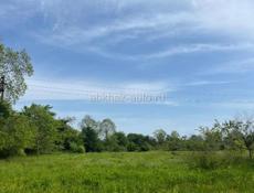 1 га с домом