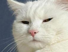 Требуется продавец 