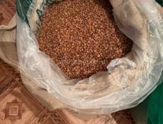 Кофе в Зёрнах 