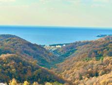 КАРКАС ДОМА НА УЧАСТКЕ 15 СОТОК У ПИЦУНДЫ