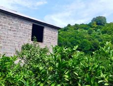 КАРКАС ДОМА НА УЧАСТКЕ 15 СОТОК У ПИЦУНДЫ