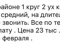 Сдам на районе 2 комн