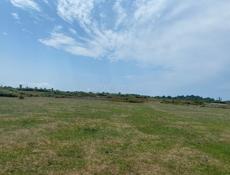 Rolls-Royce Silver Wraith