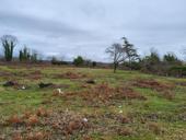 Продается участок 70 соток с ветхим строением