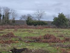 Продается участок 70 соток с ветхим строением