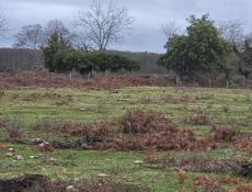 Продается участок 70 соток с ветхим строением