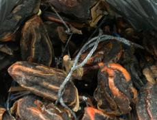 Продаю сушенную хурму 