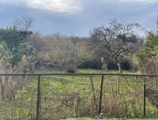 Земля по трассе, Гулирипш. 