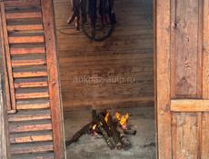 Свежее копчения на  завтра кому нужно номер для связи +79409977331