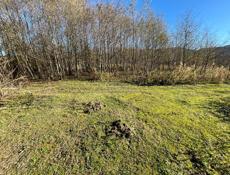 Очень срочно 