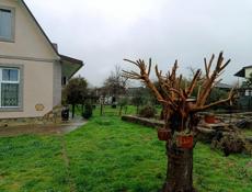 Продаю срочно