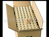 Продаю яичные коробки