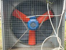 ЭЛЕКТРОЩЕТКИ 