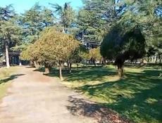 СРОЧНО🔥 Продажа участка Цитрусовый 