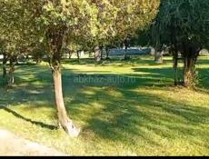 СРОЧНО🔥 Продажа участка Цитрусовый 