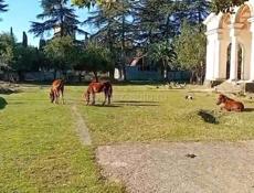 СРОЧНО🔥 Продажа участка Цитрусовый 