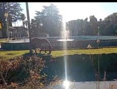 СРОЧНО🔥 Продажа участка Цитрусовый 