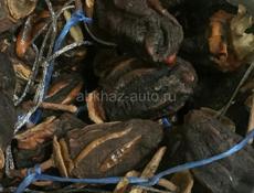 Продаю сушенную хурму по 200