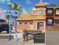 Игровой Аккаунт Pubg Mobile 